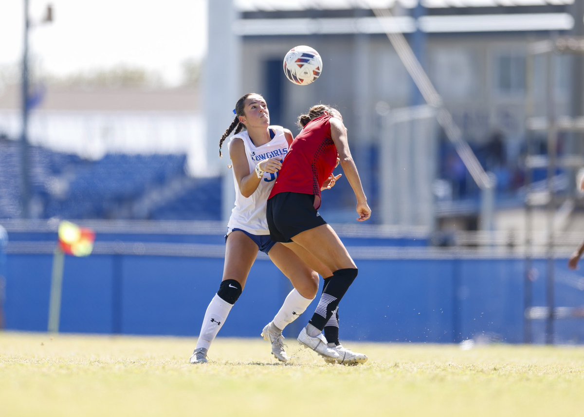 Shane Coleman Photography tweet media