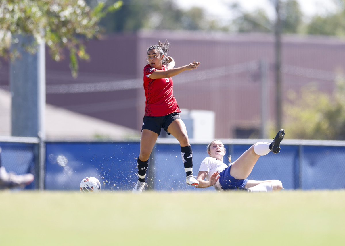 Shane Coleman Photography tweet media