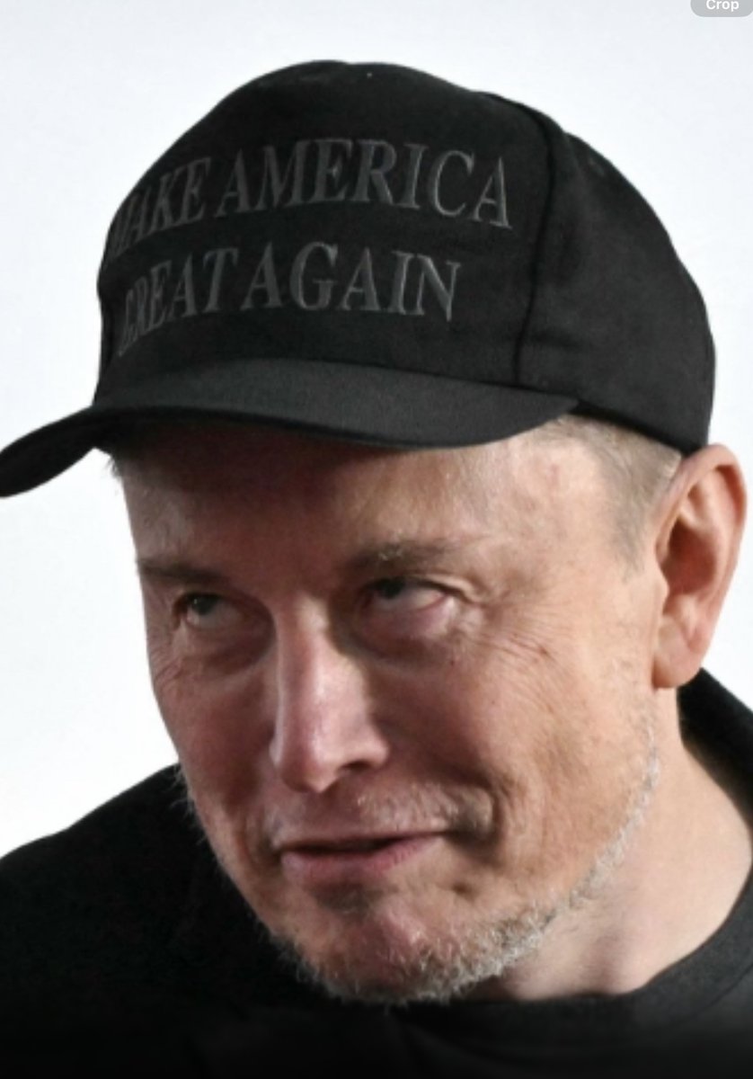 BusKapE69's tweet photo. @elonmusk https://t.co/TmpgyakSzV