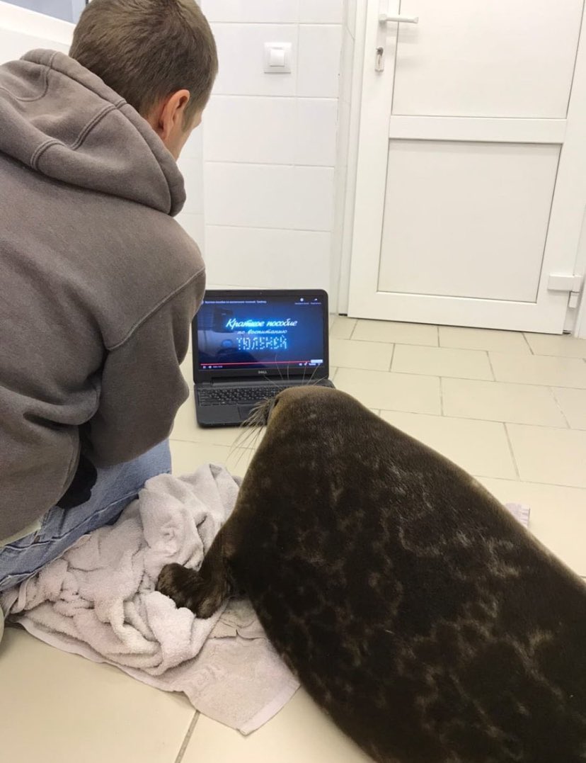 Poopywoopy tweet media