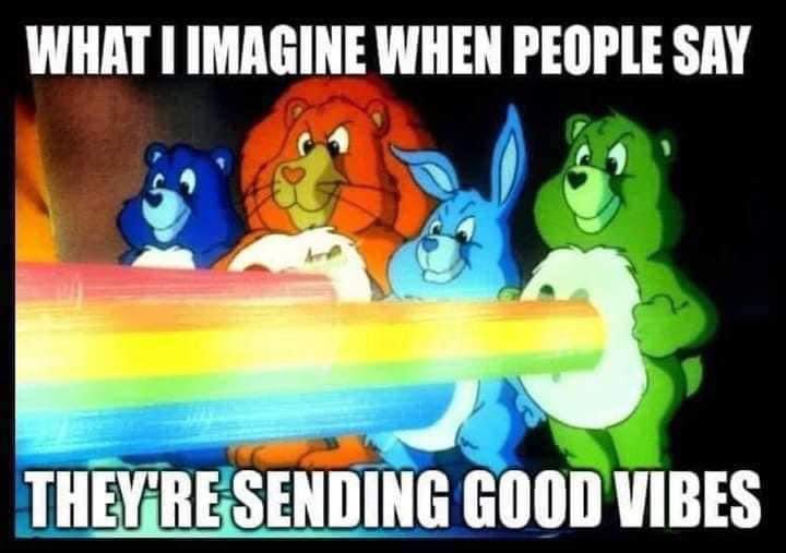 Ralphie the 3-legged WonderPom tweet media