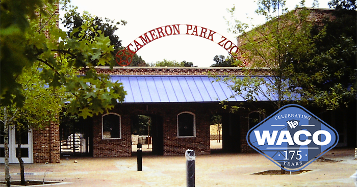 cityofwaco's tweet photo. .@CamParkZoo began as a modest dream in the 1950s and has grown into a beloved Waco tourism destination!

After several moves, the zoo opened its doors in Cameron Park in 1993.

#wacotexas #wacotx #wacohistory #cameronparkzoo https://t.co/2YDKYcctVh