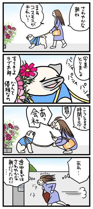 まか　♪雪結晶パグちゃん♪、パグちゃんおまとめ パグに関する記事一覧｜いぬのきもちWEB MAGAZINE