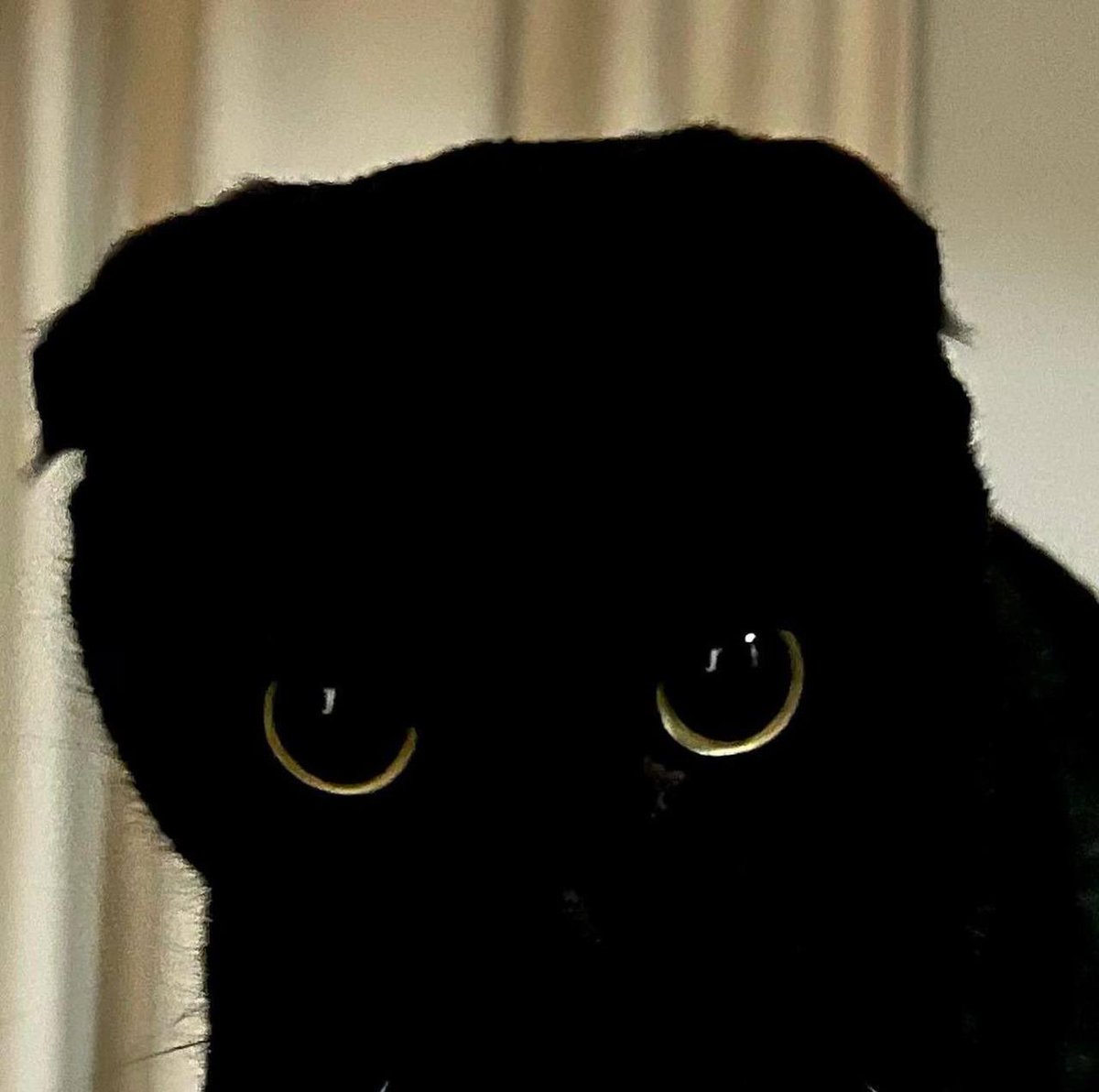 <a href="/mrpunkdoteth/">Mrpunk.eth</a> really profiting off cat szn aren’t you? 

$MeonJi면지 is just the next play you need 

Uptober is still soo early 

HiwD8jamETPiDrhTxnaCMykYfztKjFS7NnW4Snkppump