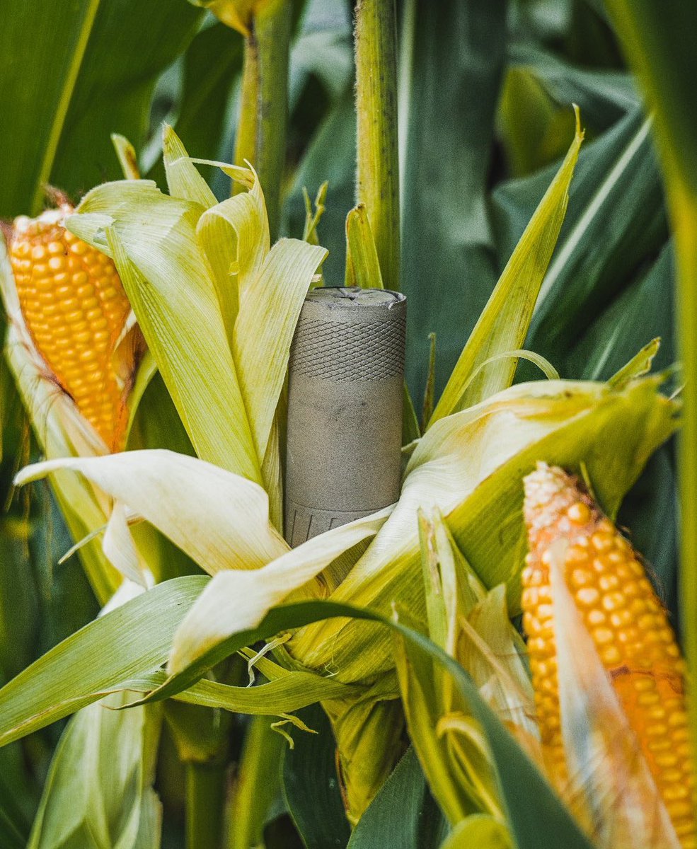 TopGunRangeTX's tweet photo. I should start picking my own corn. https://t.co/EKPw6HIKsJ
