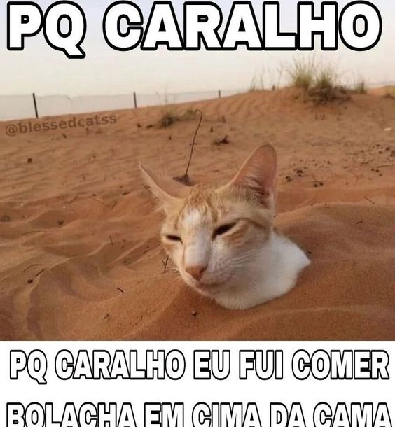 Imagens que consegues ver (@antoniocarros98) on Twitter photo 