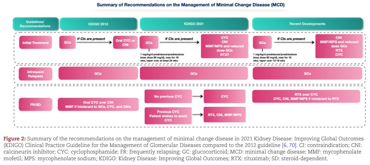 edgarvlermamd's tweet photo. Evolution of the guidelines for the management of podocytopathies:
📌 Minimal Change Disease (MCD)
📌 Focal Segmental Glomerulosclerosis (FSGS)

👉 https://t.co/NFDDTw5zHI https://t.co/OwDTXEWrhv
