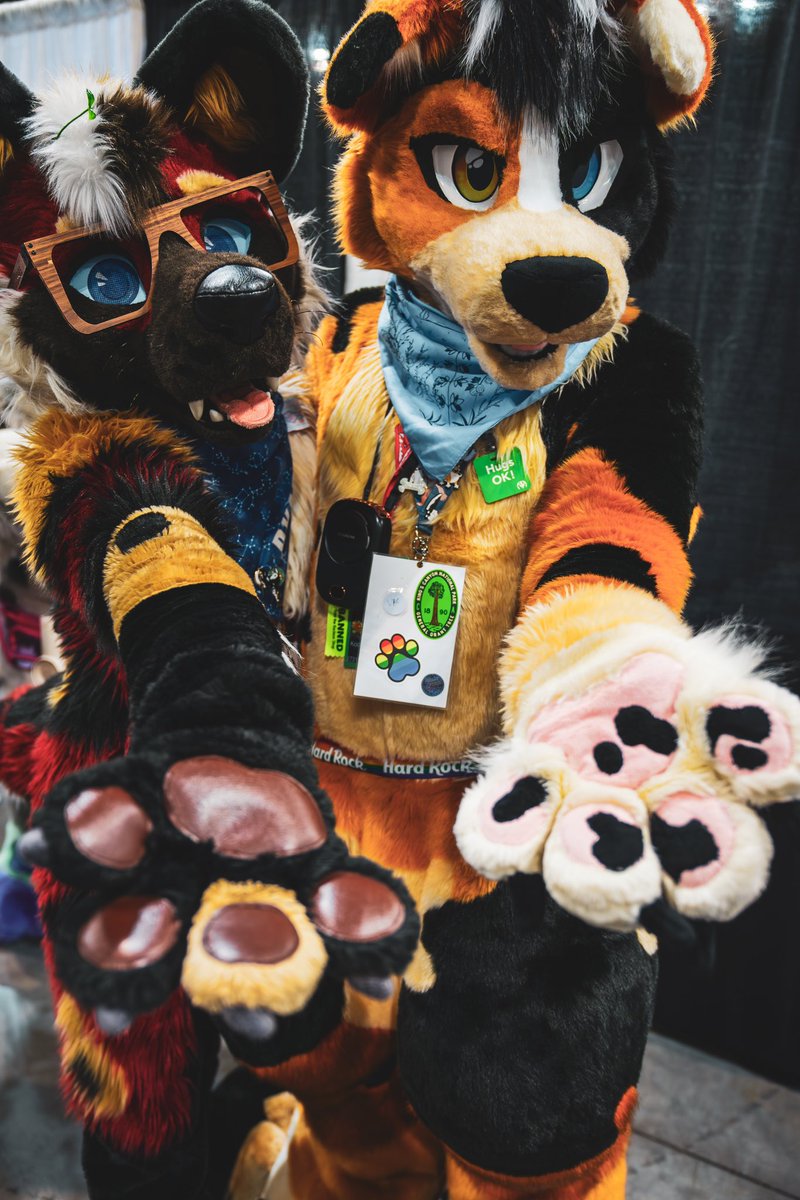 Koda🐾🎾 (@kodatheaussie) on Twitter photo Surprise BEAN inspection with <a href="/RyattAWD/">📡 RyattAWD 📡 @ AFC</a> at #AFC2024 !!! 🫘🫘
🪡<a href="/DelishDisguises/">DeliciousDisguises 🔜 Tiger Lagoon</a>🧵
📸<a href="/Cult_of_Kala/">Kala🔜AFC</a> Surprise BEAN inspection with <a href="/RyattAWD/">📡 RyattAWD 📡 @ AFC</a> at #AFC2024 !!! 🫘🫘
🪡<a href="/DelishDisguises/">DeliciousDisguises 🔜 Tiger Lagoon</a>🧵
📸<a href="/Cult_of_Kala/">Kala🔜AFC</a>
