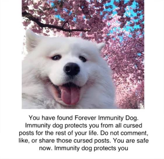 Saw a tweet na nagsasabing papasa daw pag nirepost yung tweet niya otherwise…. (Won’t even say it!)

So here’s the Forever Immunity Dog! 🐶😁
