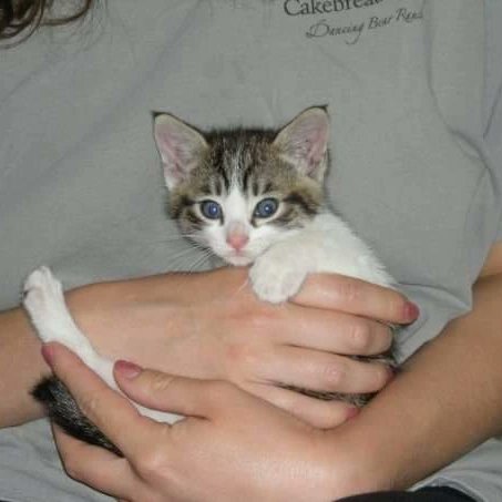 Brandie June tweet media