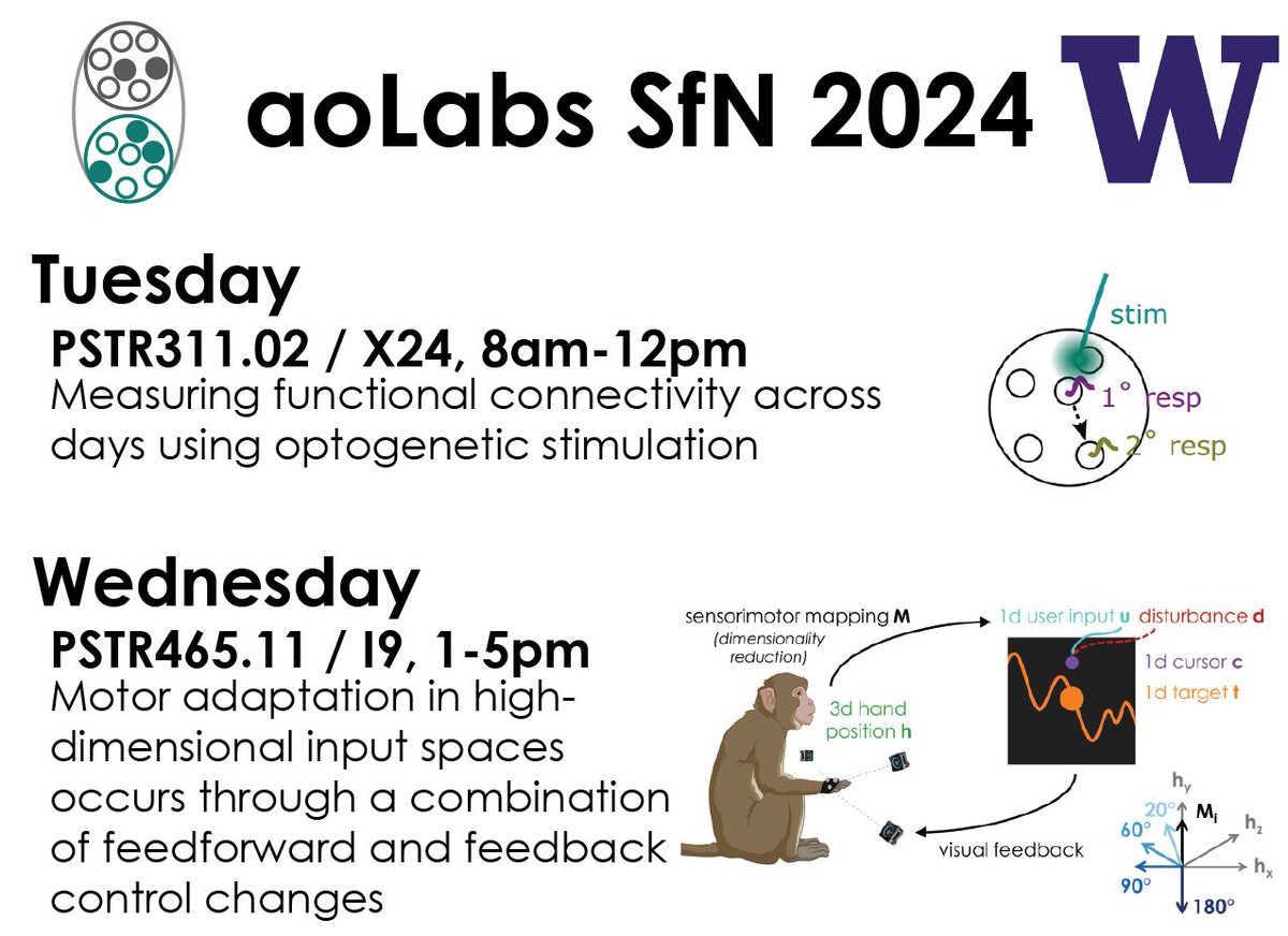 We're coming to the home stretch of #SfN2024 #SfN24 ! As you finalize your schedules for Tuesday and Wednesday, make sure to add two posters from <a href="/aolab_neuro/">aoLab</a>: