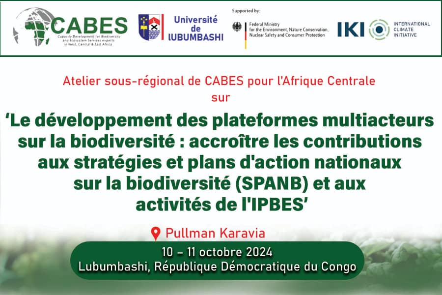uniluofficiel's tweet photo. 🌍✨ L’atelier régional de @CABES   se tient à l’Université de Lubumbashi les 10 et 11 octobre 2024 ! 
Au cœur de cet événement : le développement des plateformes multiacteurs pour renforcer la biodiversité en Afrique Centrale. 🌱

#AfriqueCentrale #UNILU #CABES https://t.co/Khwlw1A06F