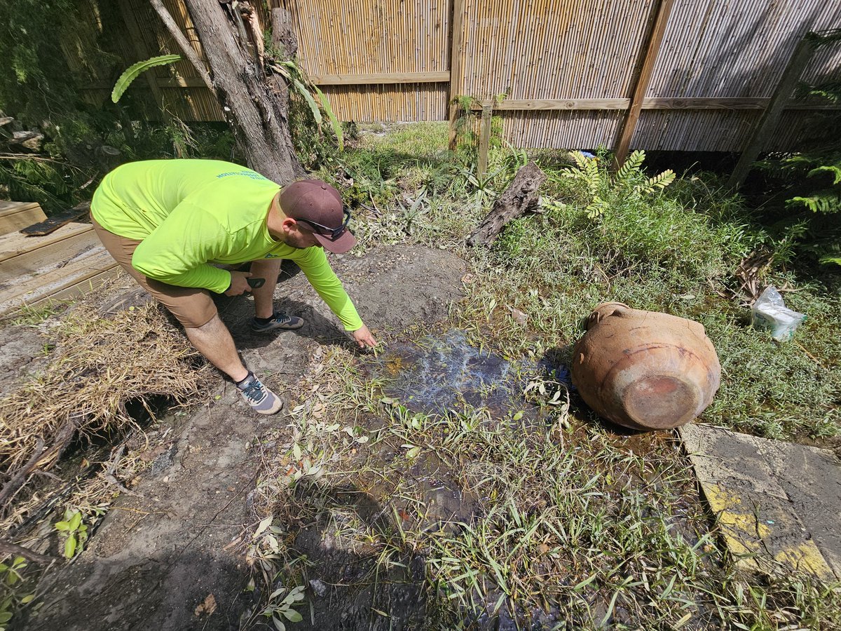 Nina Stark tweet media