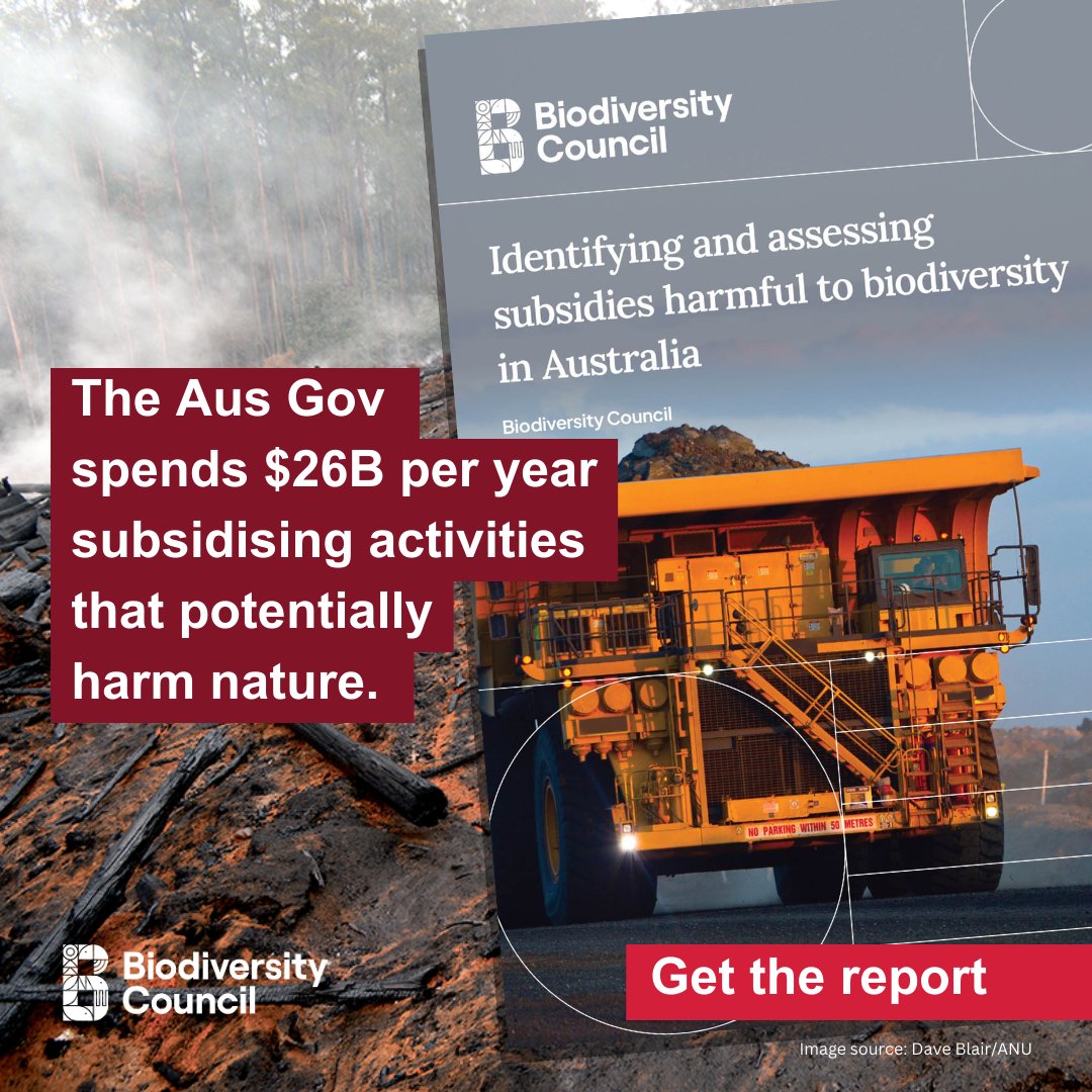 Before the Australian Government can be nature positive, they have to stop being nature negative.

Our new report found that Aus Gov spends around 50x more each year on subsidising activities that are likely to harm the environment than they spend on helping biodiversity - a