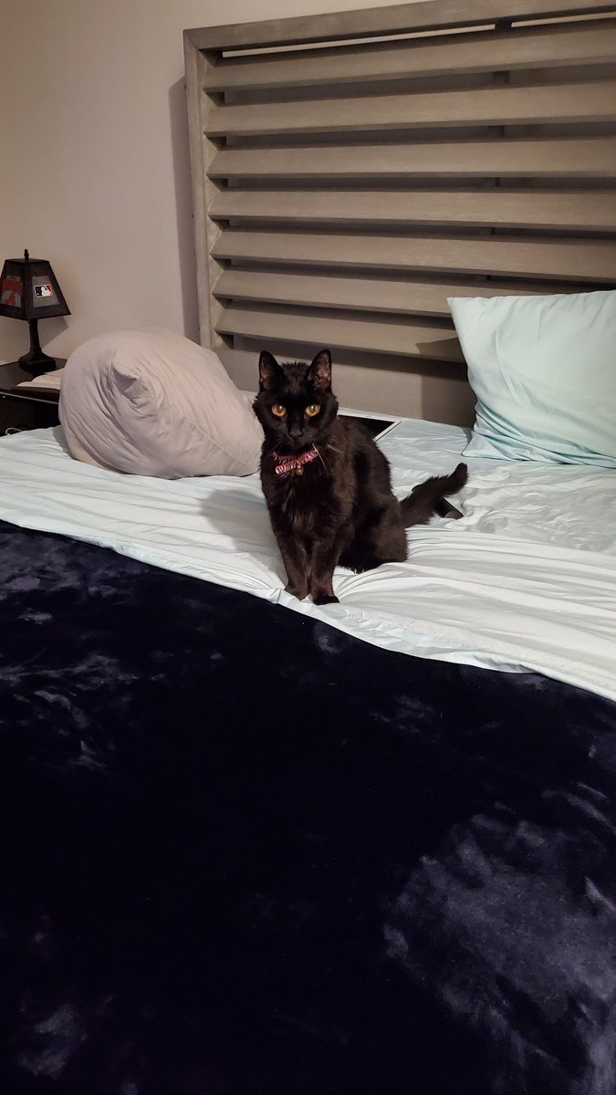 Dan Ellithorpe tweet media