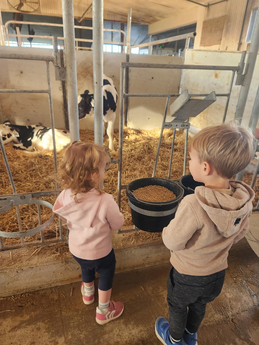 Went to see some cows tonight! Thanks for the tour <a href="/BrookeDoyle_/">𝐁 𝐑 𝐎 𝐎 𝐊 𝐄</a> #tractorrides #cows #laughs #adventures #auntlife #fun