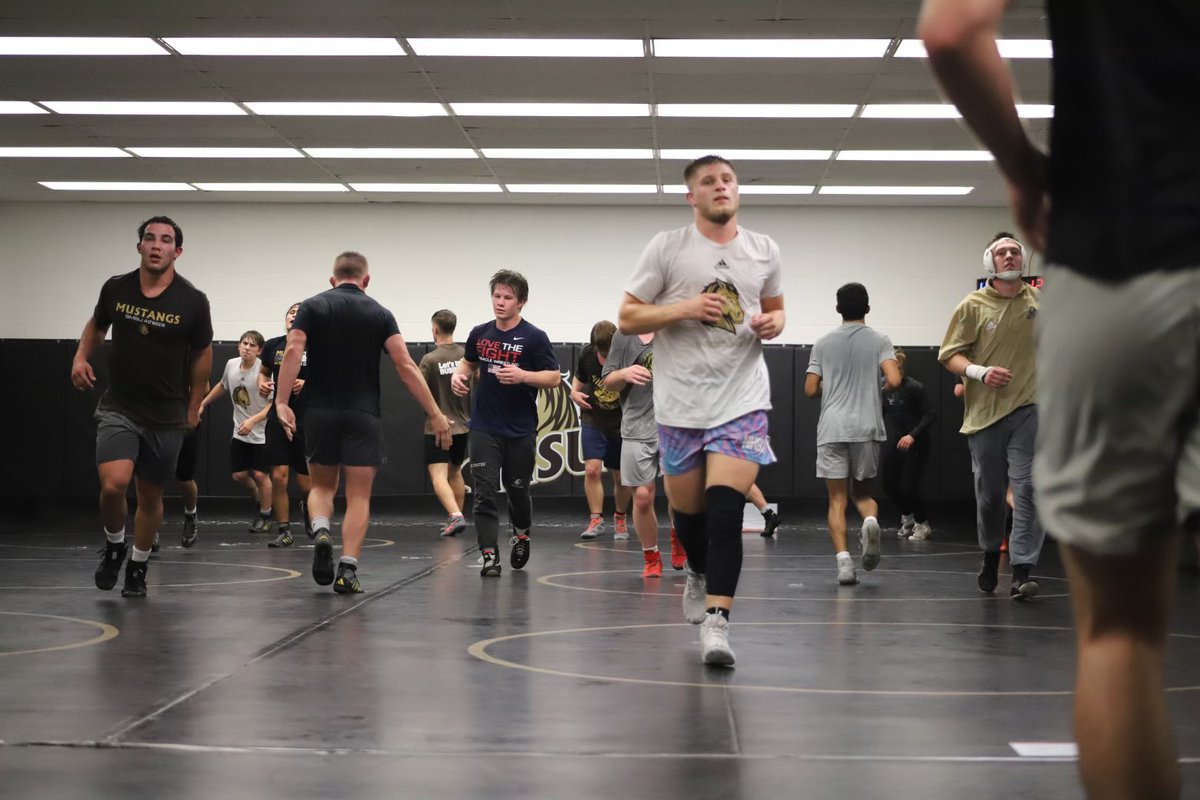 SMSU Wrestling tweet media