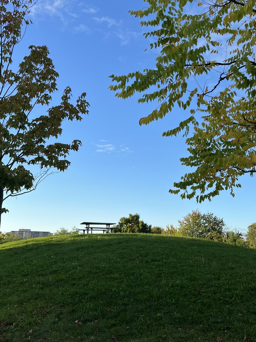 kunrup's tweet photo. Monday Evening run sweet 11 K in an hour. Train hard now not to regret later. Less than two weeks for the long run.
#brampton #positivevibes #positivity #stayactive #staymotivated #runforfun #runforhealth #marathonbound #torontowaterfrontmarathon https://t.co/J1eUgbeer2