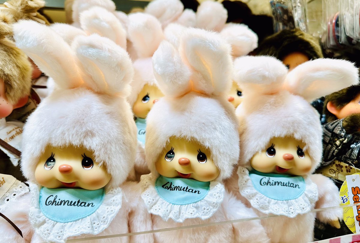 🍀キャラクターコーナー🍀 #モンチッチ 【チムたんスタンダードS