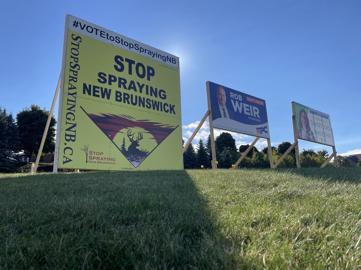 StopSprayingNB's tweet image. Wow, 21/2 weeks into the election a mention of forest herbicide spraying. The degradation of our public forests IS a huge issue for many voters. Have you seen our billboards, scattered across#NB? 
@CBCNB #nbpoli #StopSprayingNB rayingNB #VotetoStopSpraying cbc.ca/news/canada/ne…