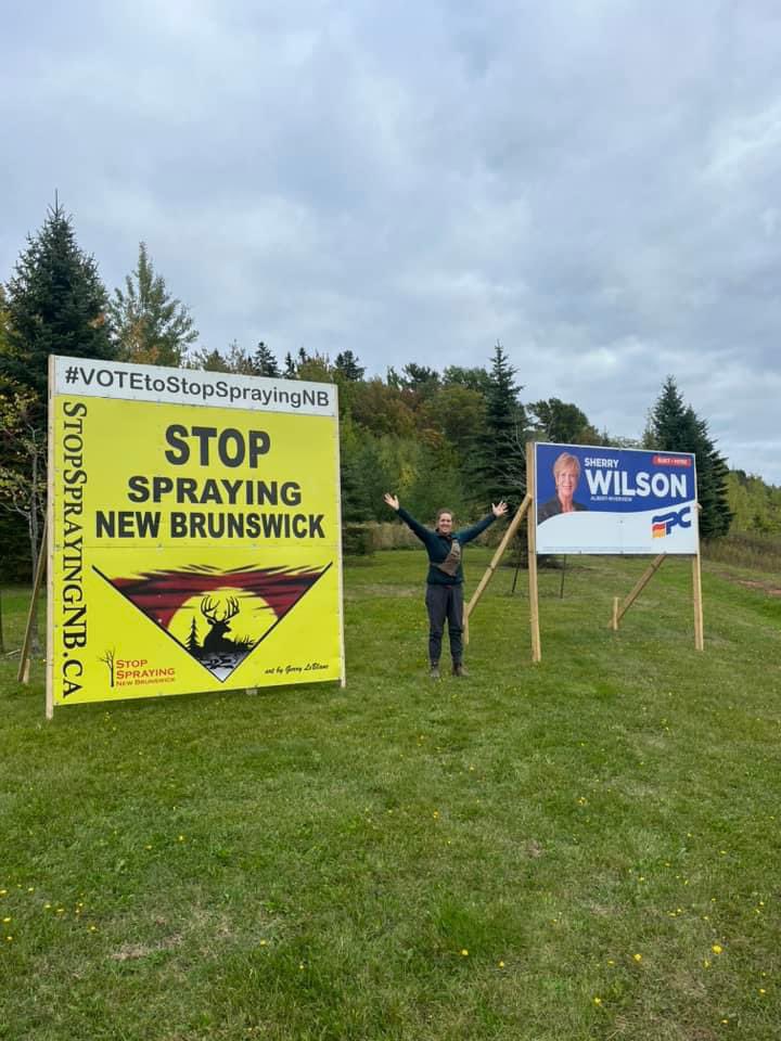 StopSprayingNB's tweet image. Wow, 21/2 weeks into the election a mention of forest herbicide spraying. The degradation of our public forests IS a huge issue for many voters. Have you seen our billboards, scattered across#NB? 
@CBCNB #nbpoli #StopSprayingNB rayingNB #VotetoStopSpraying cbc.ca/news/canada/ne…