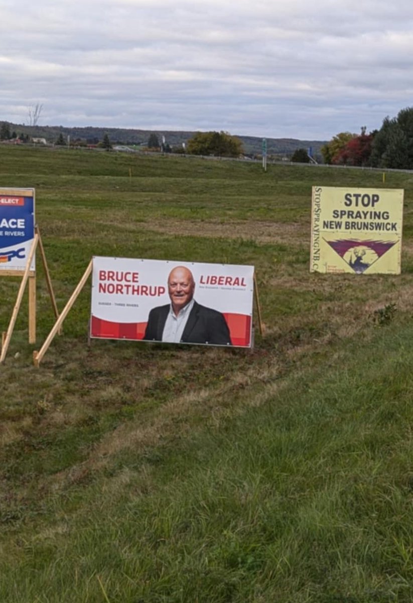 StopSprayingNB's tweet image. Wow, 21/2 weeks into the election a mention of forest herbicide spraying. The degradation of our public forests IS a huge issue for many voters. Have you seen our billboards, scattered across#NB? 
@CBCNB #nbpoli #StopSprayingNB rayingNB #VotetoStopSpraying cbc.ca/news/canada/ne…