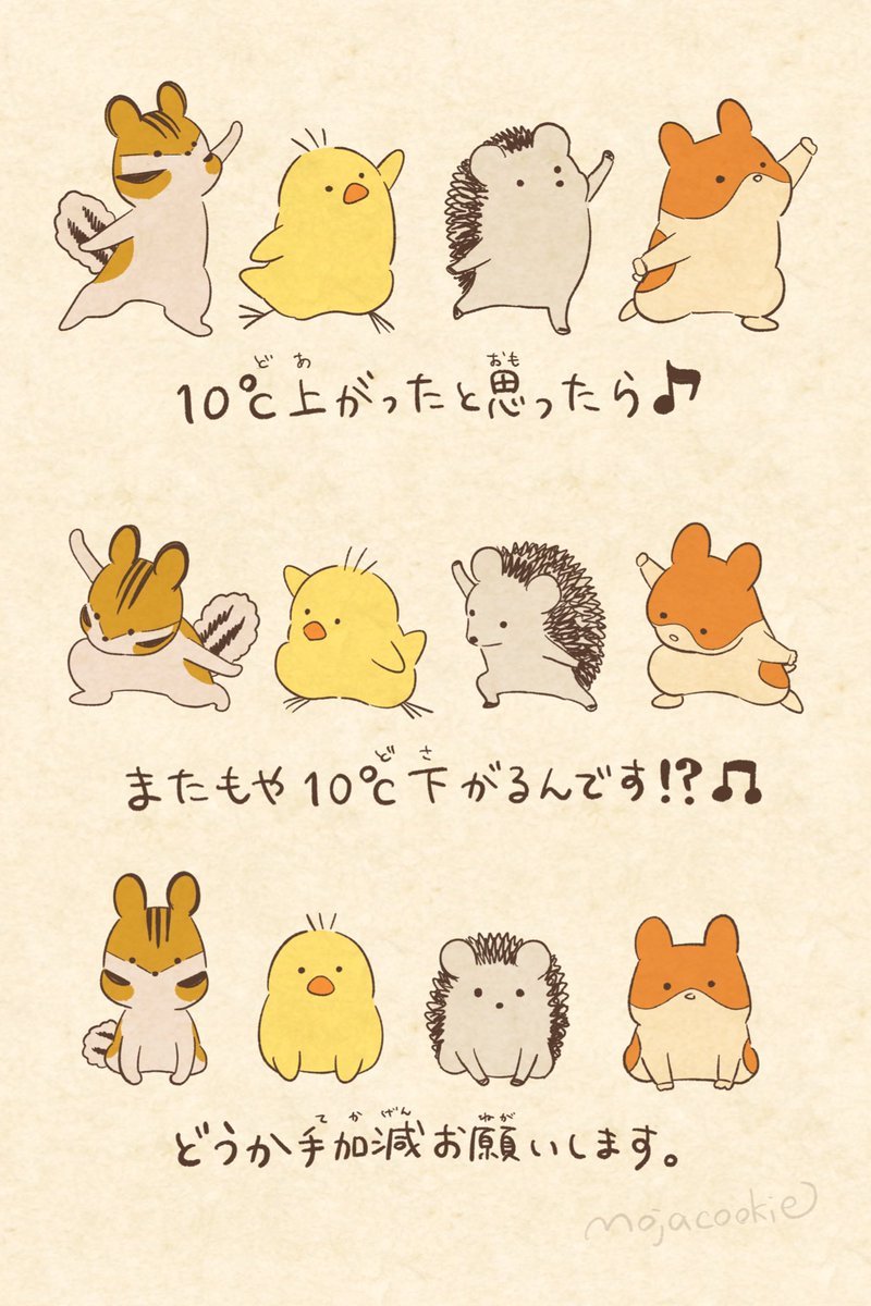 寒暖差・ダンサーズ 