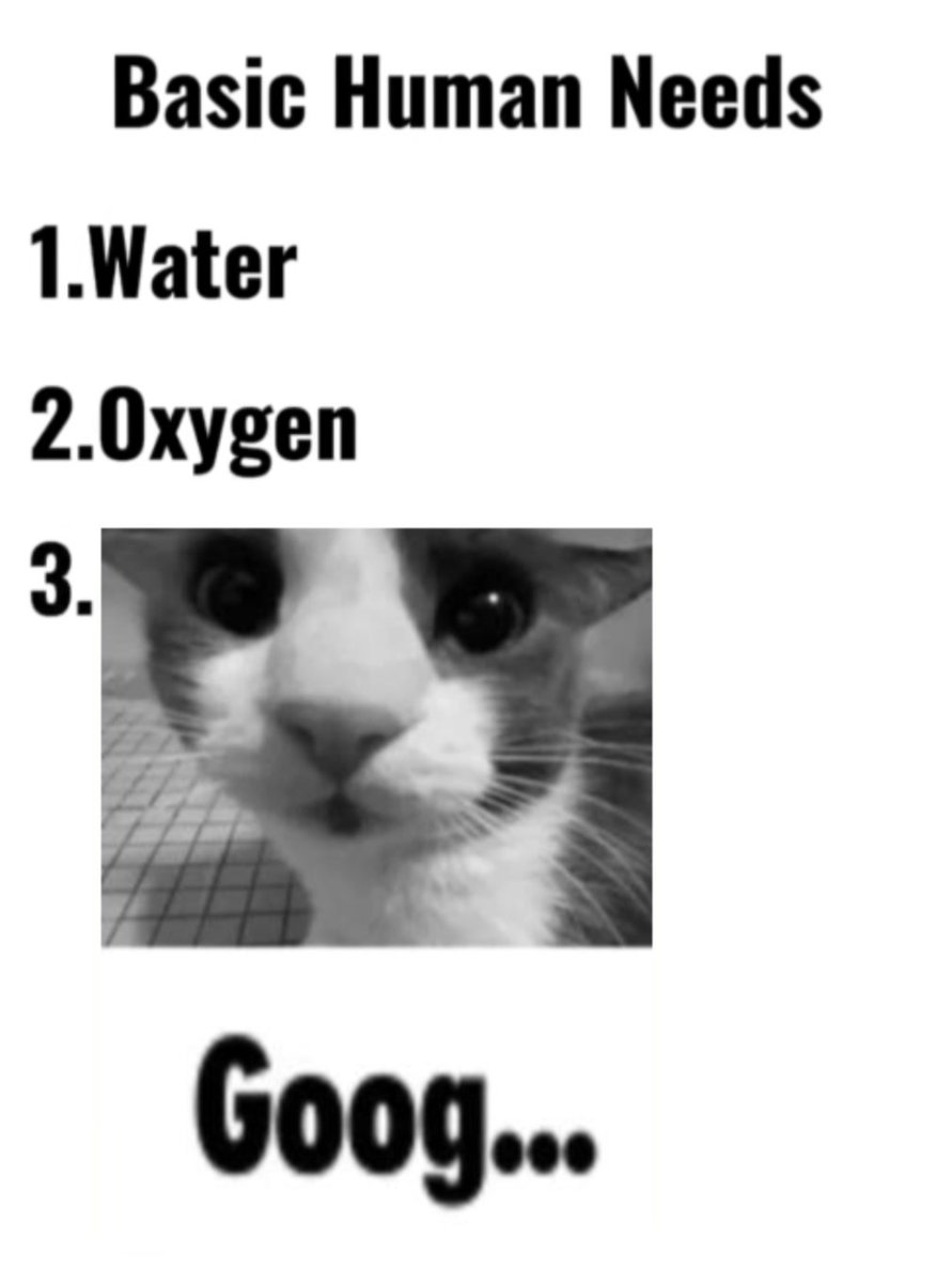 all need the Goog...