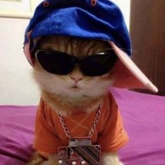 SentinelsPath's tweet image. If $WAP is anything like $MOTHER its gonna go ballistic