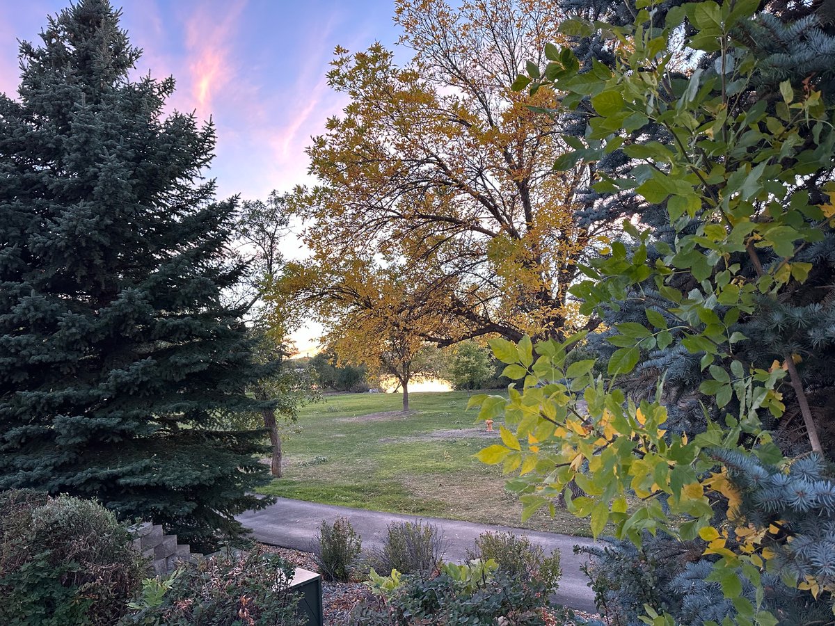 Love traveling because of views and experience like this. Thanks Montana for treating me so kindly ☺️

In Washington today and tomorrow, then back to Idaho. Wyoming next week! ✈️🍁🤠