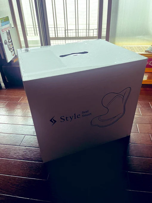 腰対策にStyle買った 