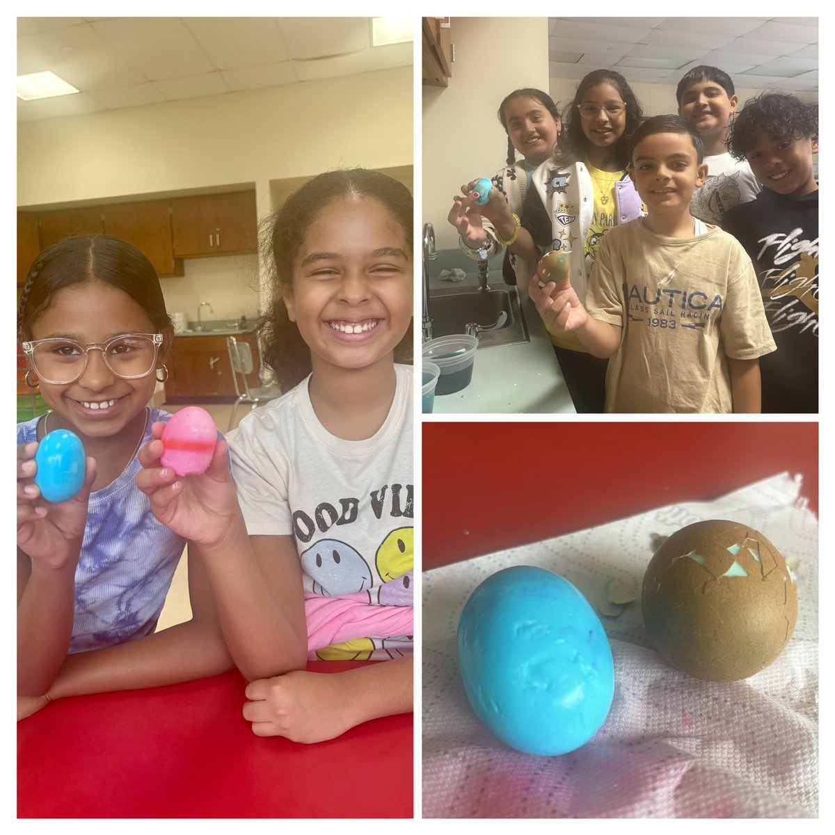 Jennifer Stein (@fps_stein_ftps) on Twitter photo Ms. Das’ 4th Graders soak one regular hard-boiled egg and one peeled hard-boiled egg in dyed water to demonstrate permeability of an amphibian’s skin! Hands on learning! <a href="/ESL_BIL_FTPS/">Carolina Smith</a> <a href="/VP_JYoung_FTPS/">Jessica Young</a> Ms. Das’ 4th Graders soak one regular hard-boiled egg and one peeled hard-boiled egg in dyed water to demonstrate permeability of an amphibian’s skin! Hands on learning! <a href="/ESL_BIL_FTPS/">Carolina Smith</a> <a href="/VP_JYoung_FTPS/">Jessica Young</a>