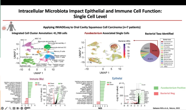 Using single cell sequencing to identify Fusobacterium associated cells 
nature.com/articles/s4158…