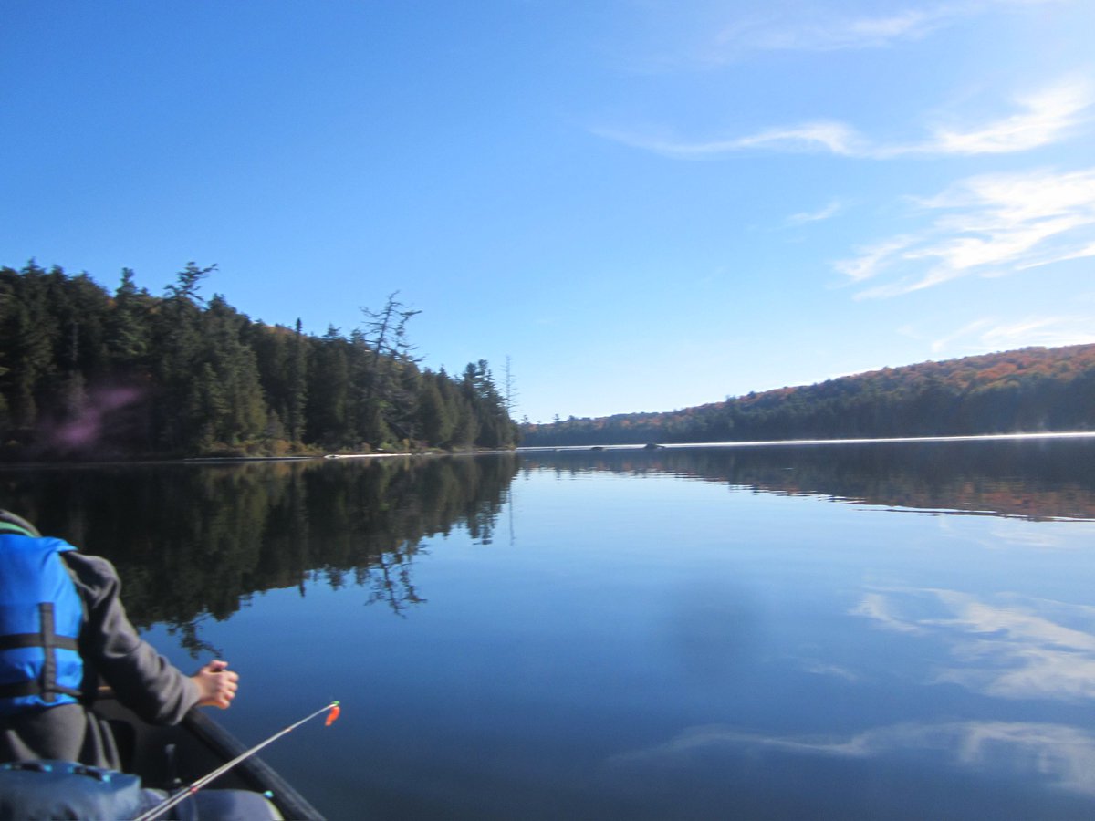 sminkleblanc's tweet photo. Views from the canoe
@1stBinbrkScoutn https://t.co/h26kJMngim
