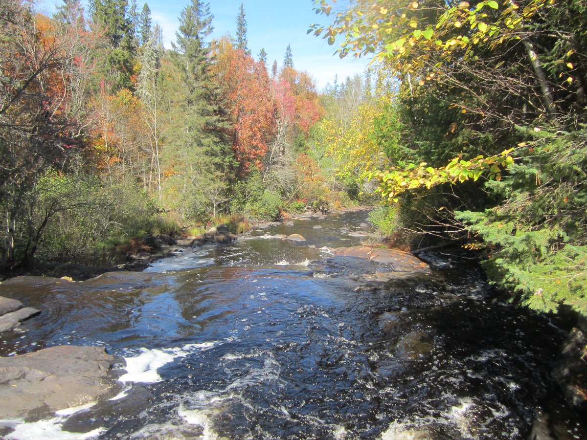 sminkleblanc's tweet photo. Sunshine and waterways
@1stBinbrkScoutn https://t.co/wQ2tKlGkn5