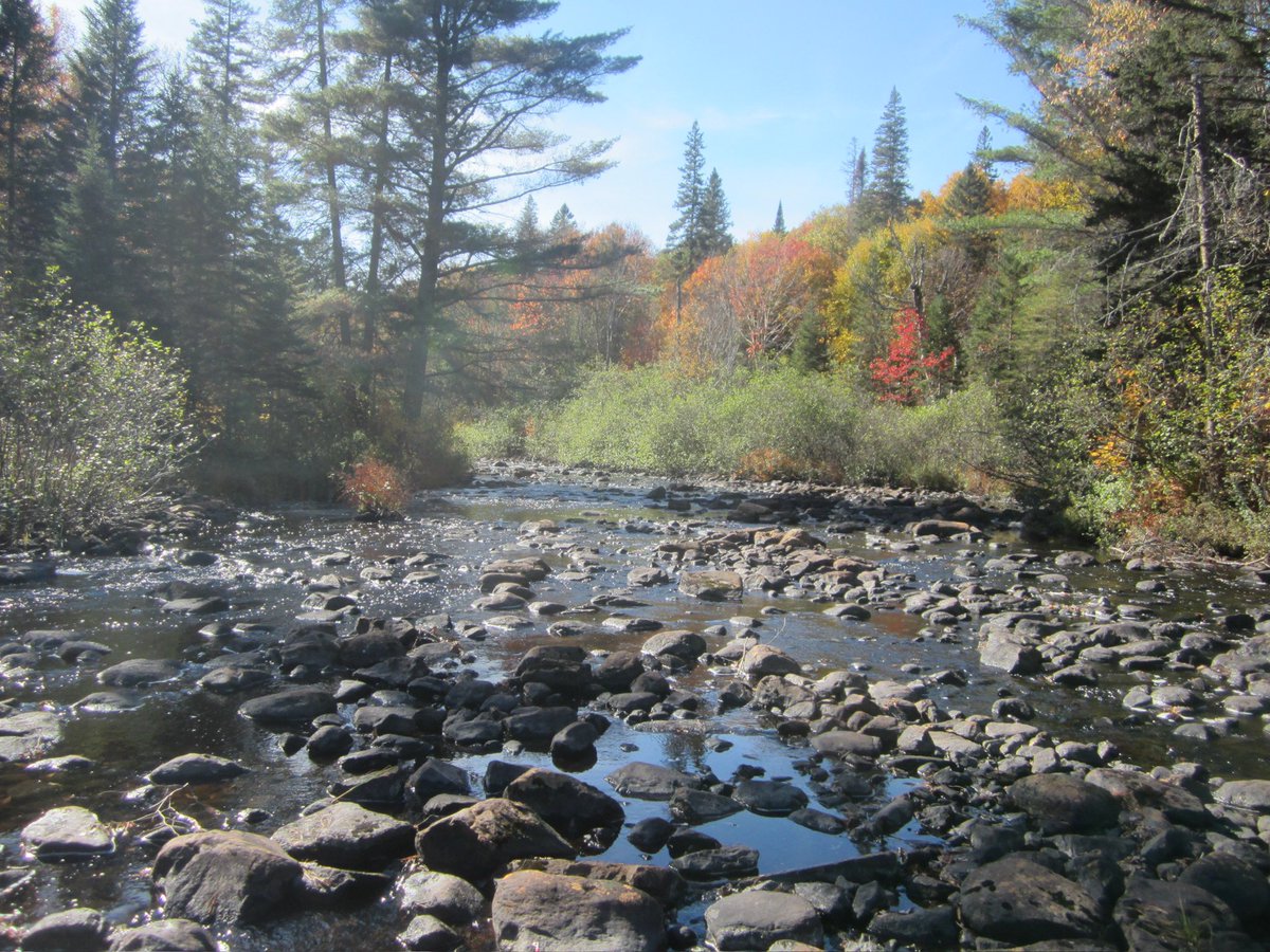sminkleblanc's tweet photo. Sunshine and waterways
@1stBinbrkScoutn https://t.co/wQ2tKlGkn5