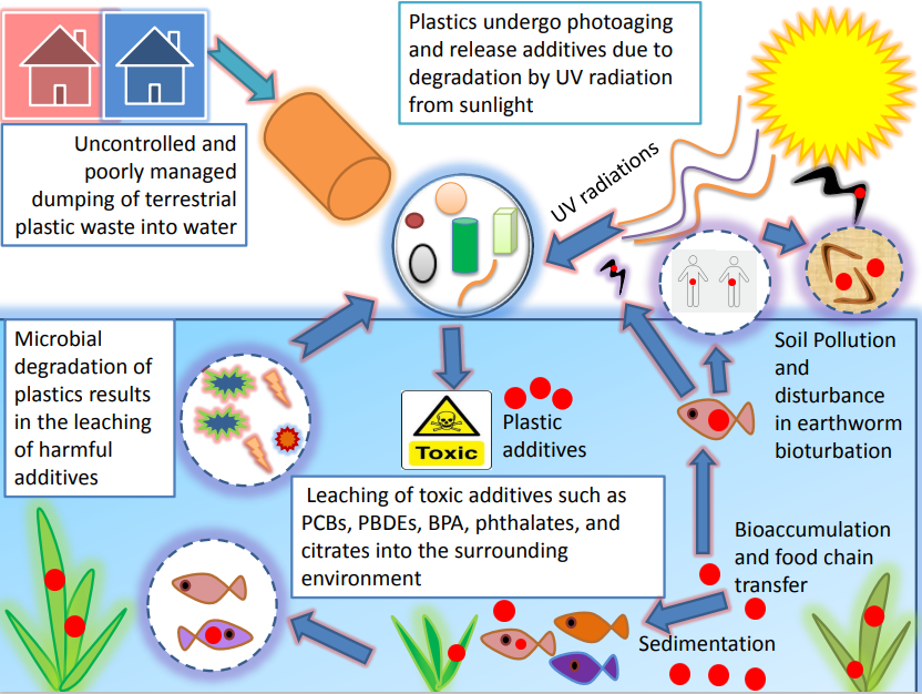 WECN__'s tweet photo. 📖 Recommended Reading:
🧪Understanding the leaching of plastic additives and subsequent risks to ecosystems offers fresh perspectives on plastic pollutants. 🔗https://t.co/bmMJOCUEJQ
#Plasticleaching #plasticadditives #ecotoxicology #microplastics #MP https://t.co/0LSfaZQDPF