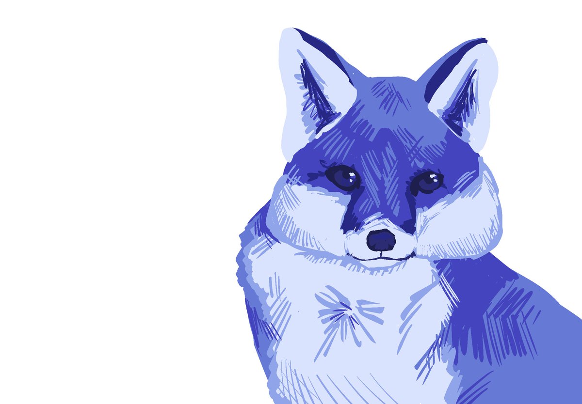 carcallingus's tweet image. Blue fox for kevin 🔥
