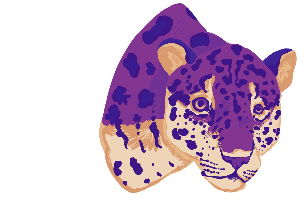 carcallingus's tweet image. Leopard