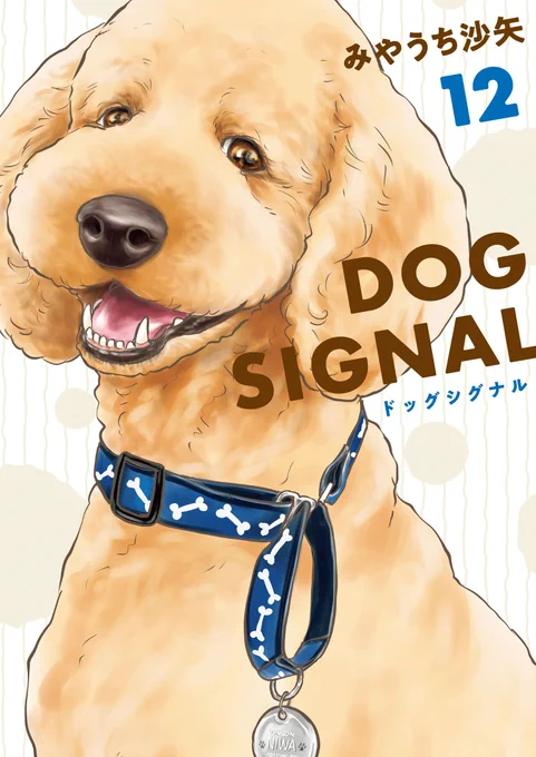 コミックス最新巻発売「#DOGSIGNAL」コミックス最新12巻が発売1子犬のトレーニング2リボンのお話(2話連続)3雷トレーニングの4話分が収録されていますウルソン先輩のカバーが目印!ぜひお買い求めください～#ドッグシグナル #うちのこシグナル 