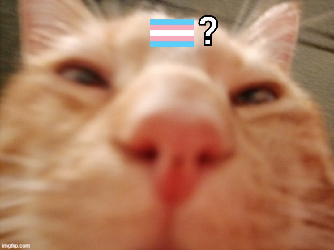 Butcher by Daylight (Renjiro💍) tweet media