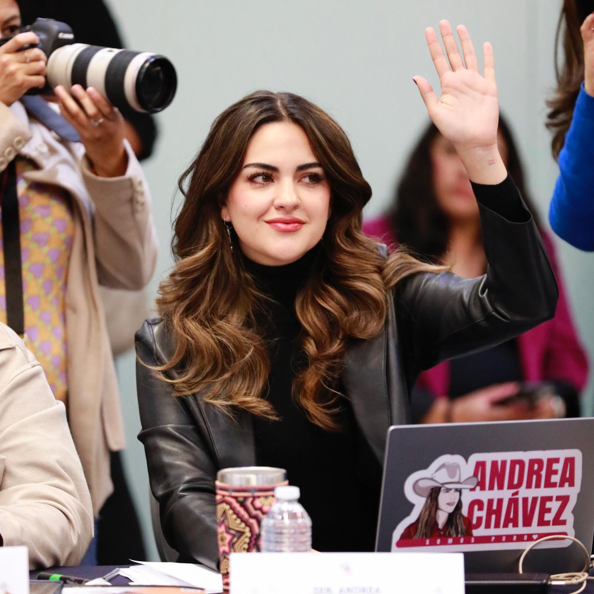 Senadores Morena tweet media