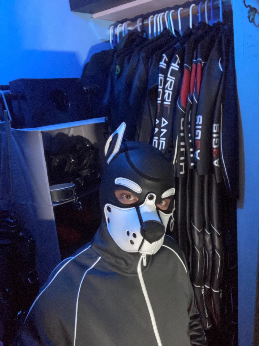 PupJibbs tweet media