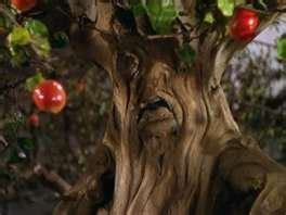 DiscoWizard83's tweet image. It was never the #FlyingMonkeys in #WizardOfOz that frightened me. Even as a kid, I knew they weren't real.
Whereas THESE guys....terrifying!