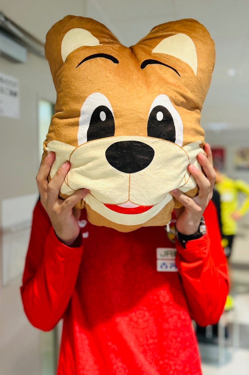 🐕可愛さ×実用性🧣 #ブランケットインクッション（ジェフィ） （4,620