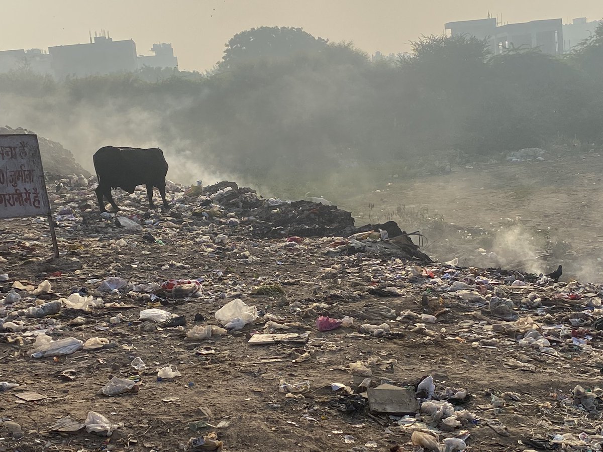 RohanRa57526376's tweet photo. @MCD_Delhi @DCSOUTHZONE @AtishiAAP @SwachhBharatGov @AAPDelhi https://t.co/NKIIMK52bD