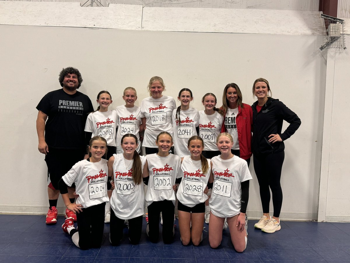 Premier 12 Gold tweet media