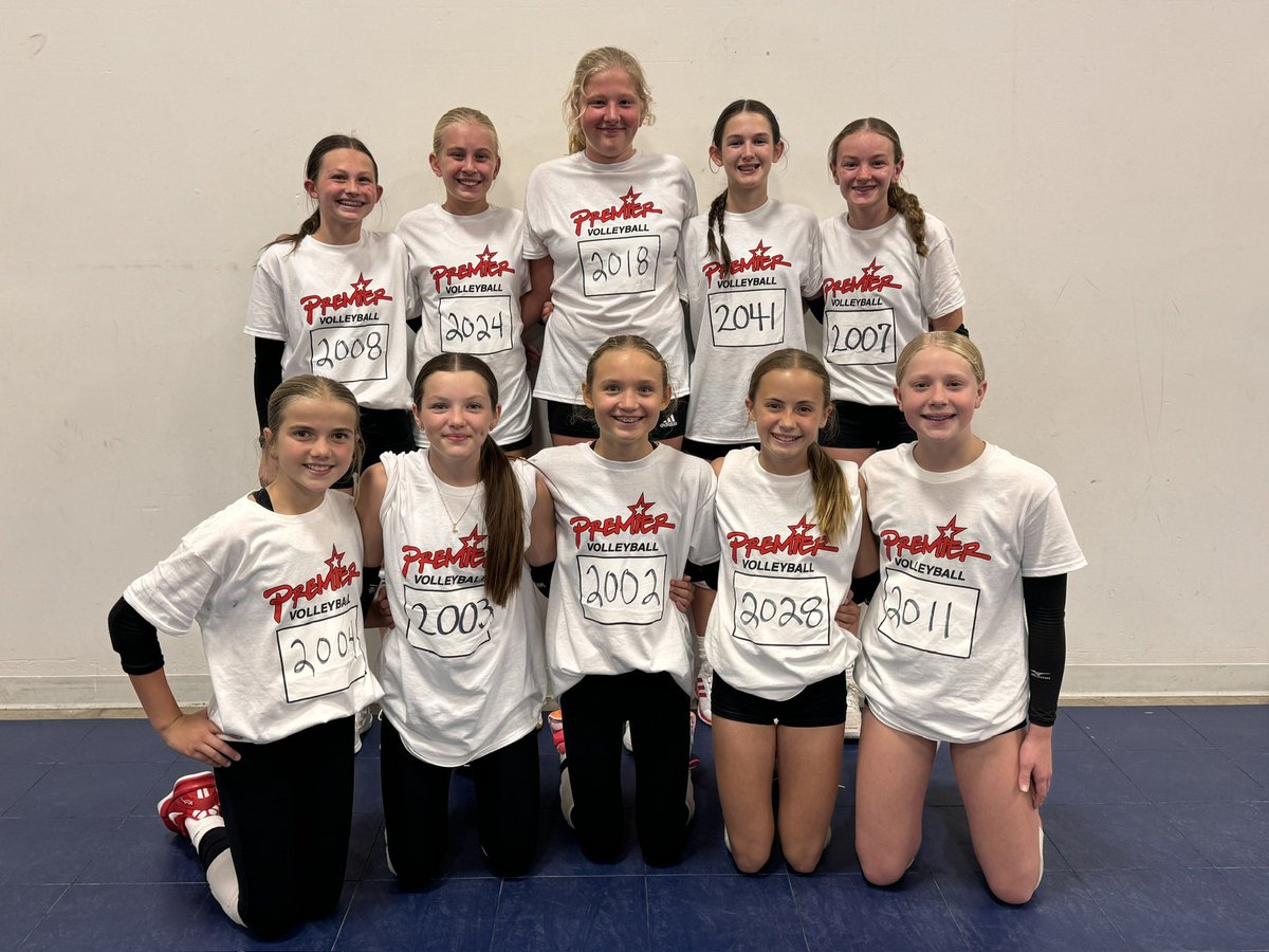 Premier 12 Gold tweet media