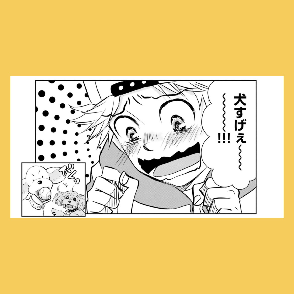 /
#DOGSIGNAL 祝!連載50話突破🎉
エピソード人気投票
\
エピソードNo.35
犬好き少年&おばあさん&ラテ編(単行本11巻48話)
~~~~~~~~
犬好き少年・修斗が再登場!修斗&ラテ&おばあさん、大切な出会いが生むのはーー。
~~~~~~~~