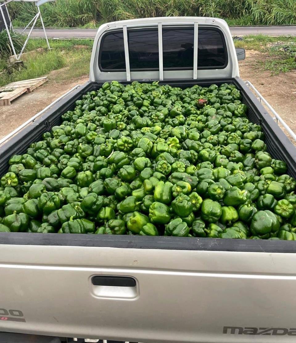 How do you value farmers? 

Agriculture is now a highly profitable business. Key is being strategic in planning and mitigating all associated risks. 

Follow for more farming tips!